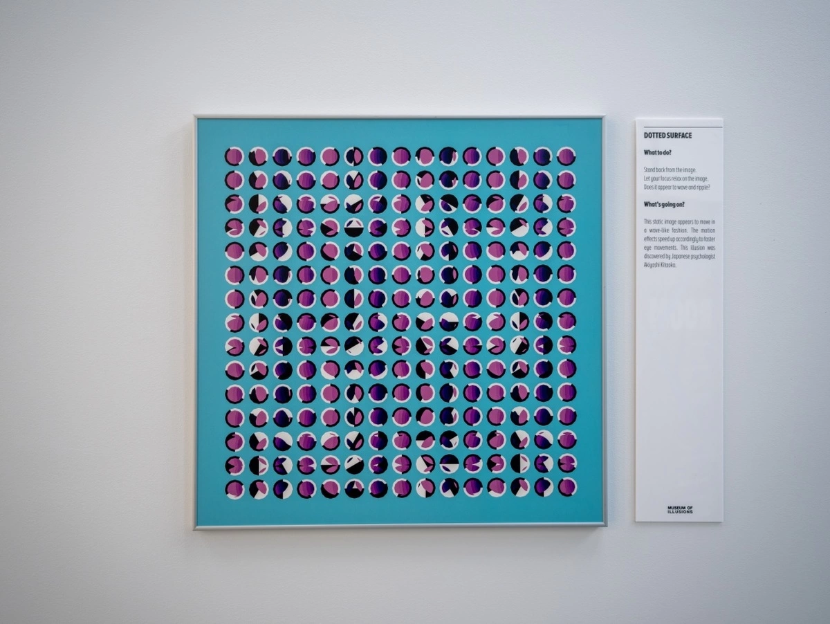 Dotted Surface optical illusion by Japanese psychologist Akiyoshi Kitaoka is hanging on the wall at Museum of Illusions Atlanta.